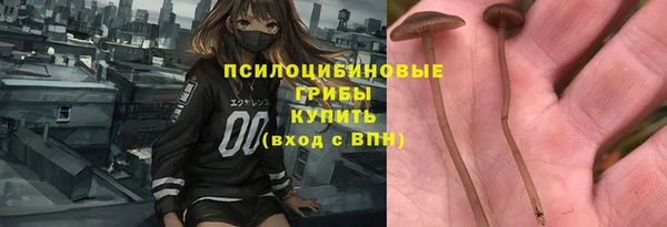 крисы Нея