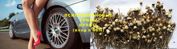 кристаллы Бикин
