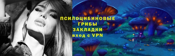 крисы Нея